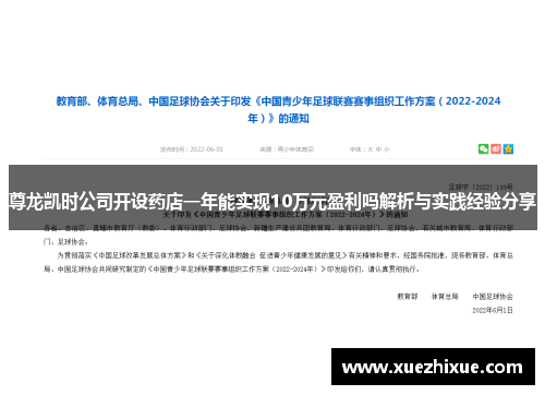 尊龙凯时公司开设药店一年能实现10万元盈利吗解析与实践经验分享