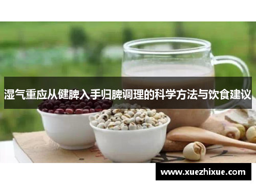 湿气重应从健脾入手归脾调理的科学方法与饮食建议