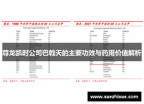 尊龙凯时公司巴戟天的主要功效与药用价值解析